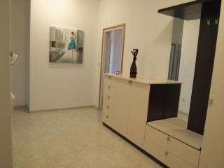 Suhi Potok apartment - 1