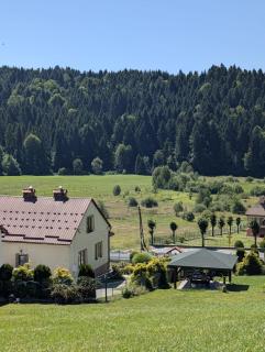 Dom z ogrodem w malowniczej okolicy Bieszczady - 0