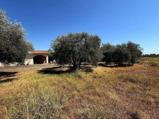 Villetta indipendente a pochi minuti dal mare - 5