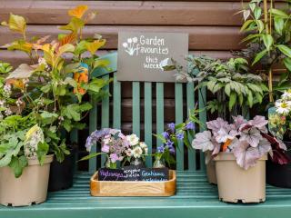 Branklyn Garden Cottage - 6