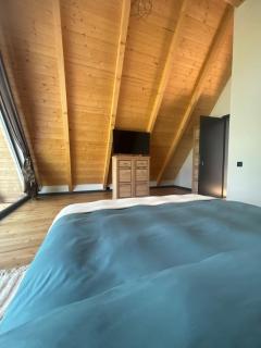 Mike Haus A-frame - 4