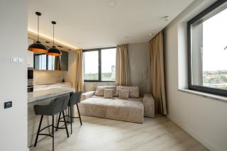 20-215 New York spacious, Antonovycha 74, Kyiv centre, Olimpiiska metro nearby, fantastic city view, 15 kW backup power, Petrovdom Apartment - 7