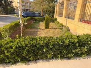 Prime 1st floor Apt 250m - 4