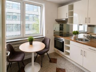 Amazing Oktoberfest Studio Apartment - 1