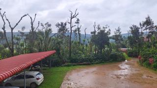 Doddagadde Homestay and Villas - Near to Ettina Bhuja trek and falls - 9
