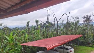 Doddagadde Homestay and Villas - Near to Ettina Bhuja trek and falls - 8