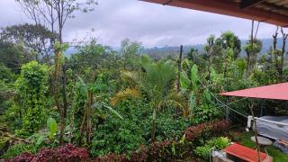 Doddagadde Homestay and Villas - Near to Ettina Bhuja trek and falls - 6