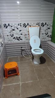 Doddagadde Homestay and Villas - Near to Ettina Bhuja trek and falls - 3