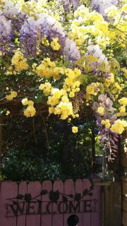 Bowral Road Art Gallery Bed and Breakfast - Mittagong - 2
