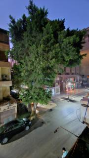 Impyria Nile - Spacious 1BR & Balcony in Zamalek - 3