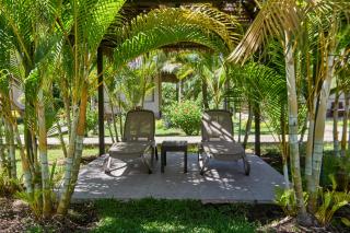 Irapay Amazon Lodge - 5
