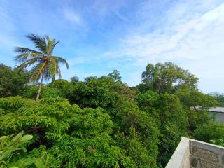 Wild Bliss Mirissa - 9
