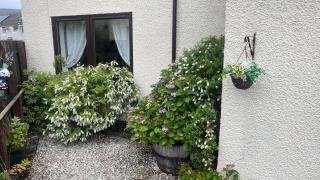 Annie's Corner - Fort William - 9