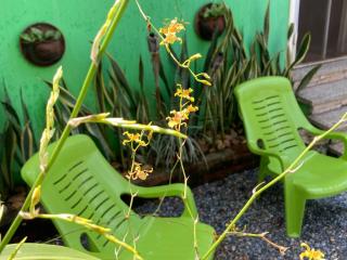 Casa Flores Mily Izabal - 6