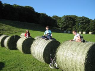 Plas yn iâl with stunning mountain views - 8