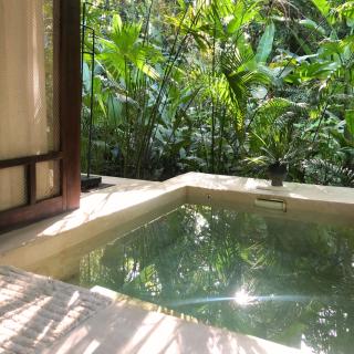 AIRE Jungle Boutique Hotel - 3