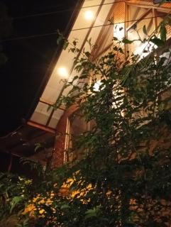 The Palace Eco Cottage - 1