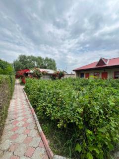 Парус - 6