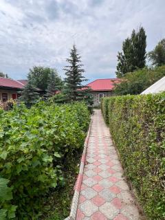 Парус - 3