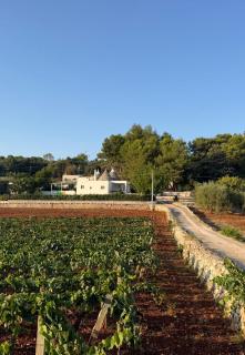 Casa Daniel - 1