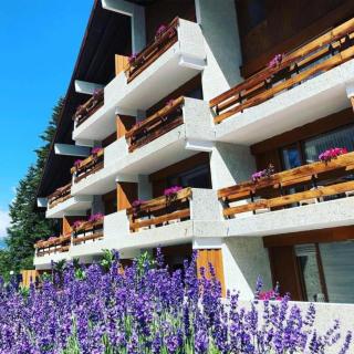 The Vintage at Crans-Montana - 0