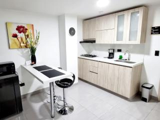 Modern studio, workspace, and full kitchen - 8