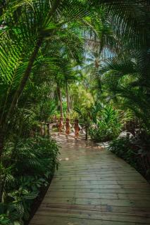 PH Quiya Residences, Beach Beauty and relax - 4