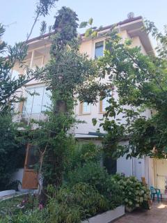 akman pansiyon - 6