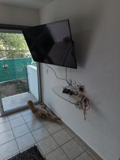 Depa nuevo con alberca y seguridad - 2