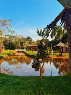 Roots Retreat & Camping Resort - 7
