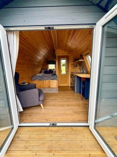 Wee Lewis Pod - 3