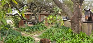 Peponi - Midrand - 8