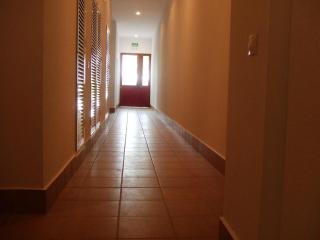 hotel apartamentos turisticos san vicente - Conil de la Frontera - 4