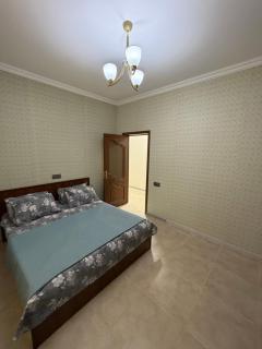 4 fesil kiraye evler - 4