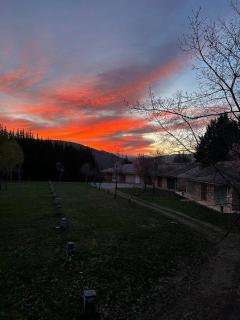 Yokai Camp Camping y Glamping en El Bierzo - 7