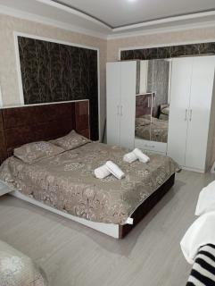 Ag saray - 1