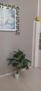 B&B Le perle - 6