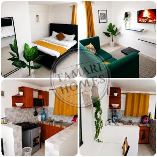 Tamari Homes - 1