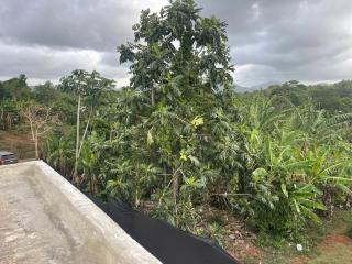 Rincon Paradise Apartments - 6