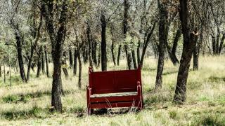 Apache Oaks - 4