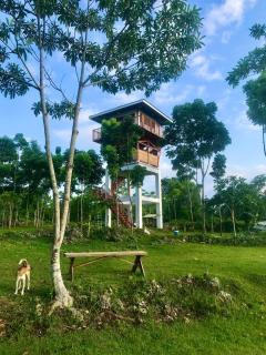 Sky Perch - 8