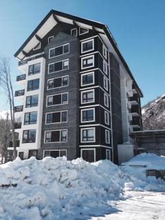 Departamento a Pasos Pistas Ski - Andarivel EL TATA - 1