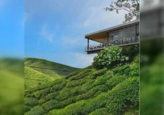 Zaaraah Nova Highlands Homestay - 9