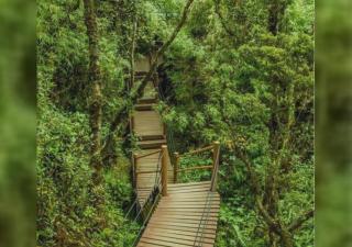 Zaaraah Nova Highlands Homestay - 7