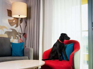 ibis Styles Mysuru - Mysore - 9
