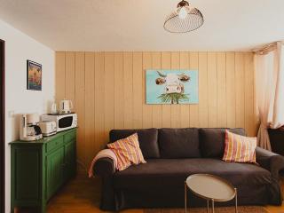Appartement au cœur du village - 4 pers. - FR-1-883-29 - 8