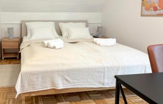 Amazing Home In Novi Marof - Kljuc With Sauna - 4