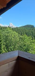 Kleinmauerreith Alpine Hideaway am Gosaukamm, Berg-Apartment - 9