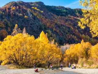 Arrowtown Cosy Corner - 8