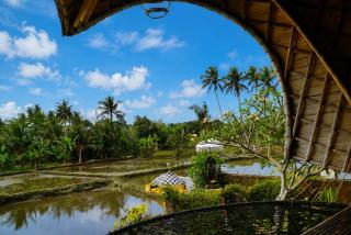 Villa Gesing Mas - Private Pool Bamboo Villa 2 BR Facing To Rice Field View - 3